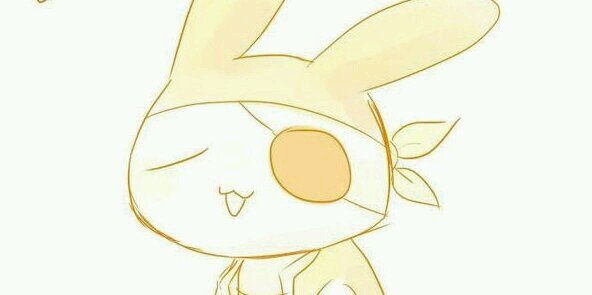 rillrabi's profile banner image