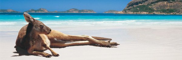 aussieEDchat Profile Banner