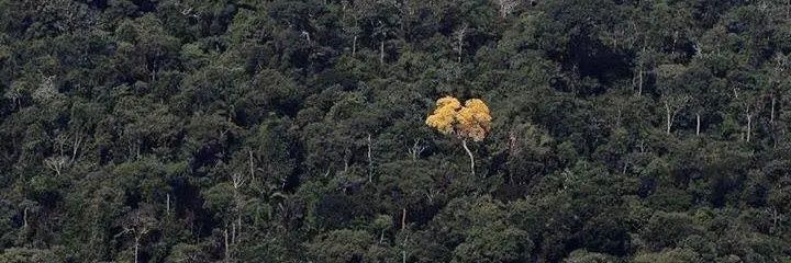Nanbweh's profile banner image