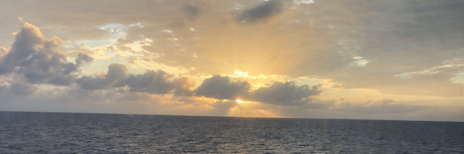 theseeleyone's profile banner image