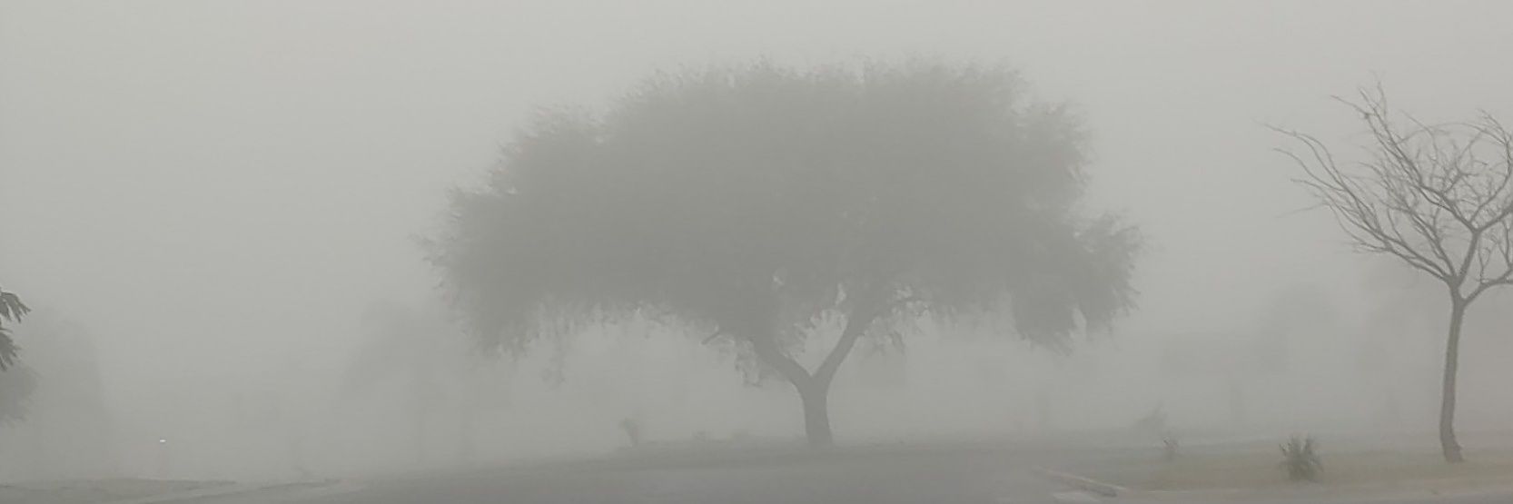 pablomz83's profile banner image