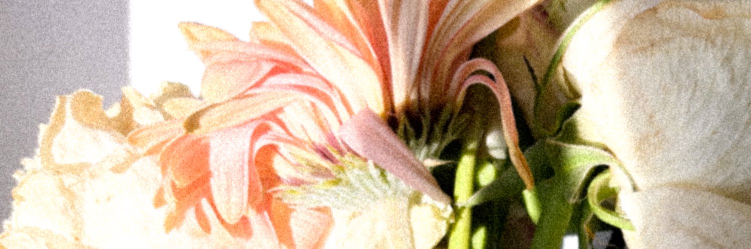 hatingpeopIe's profile banner image