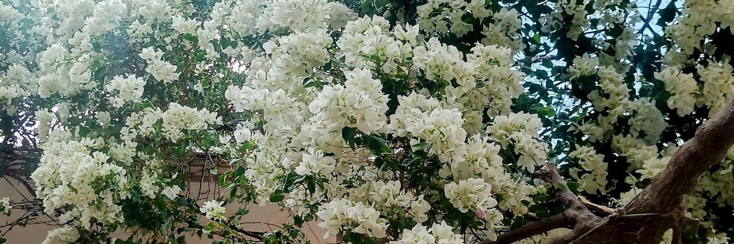 PatelAshoka's profile banner image