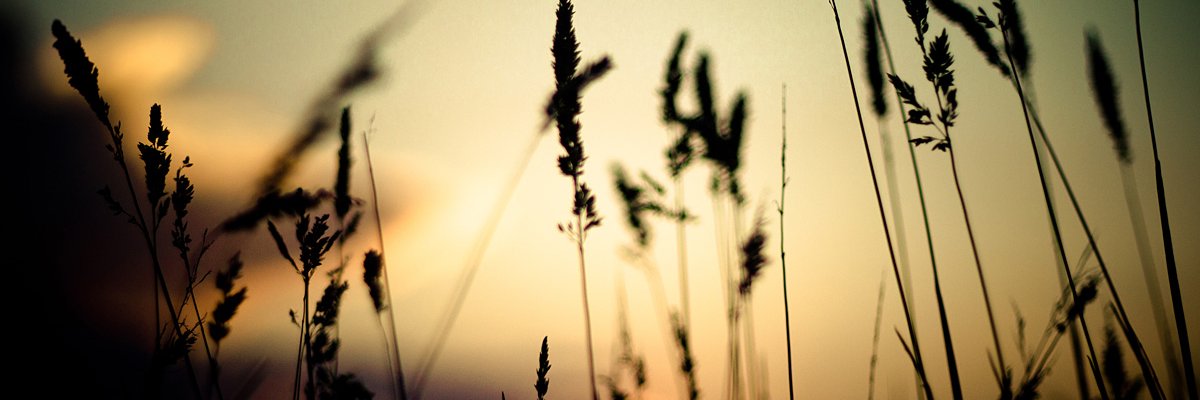 MonicaUtiel's profile banner image