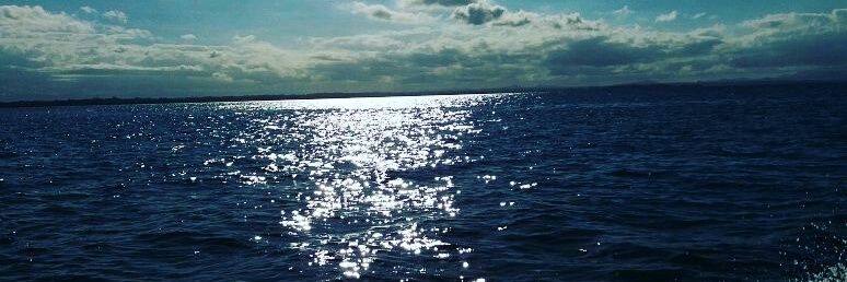lewesim's profile banner image