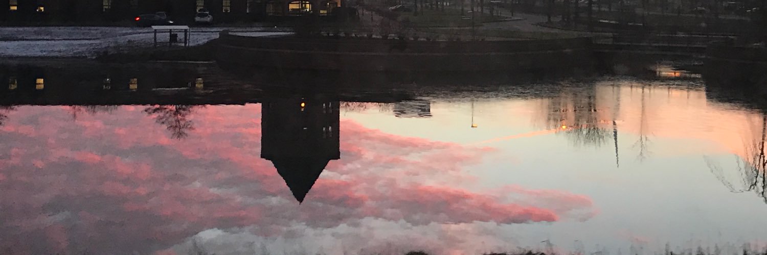 Vlinder_Lin's profile banner image