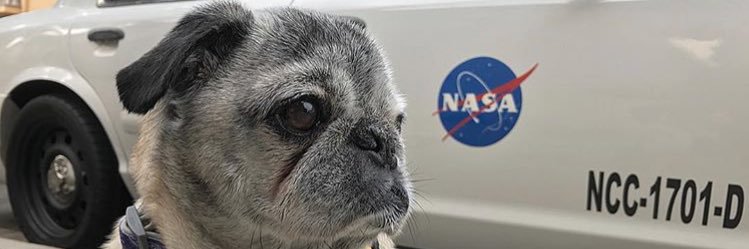 HotDogShowers's profile banner image
