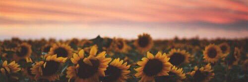 sherry_mcleod1's profile banner image