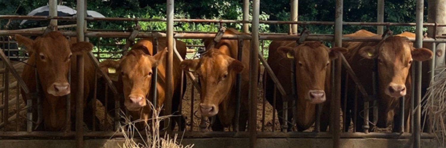 comeonrv_'s profile banner image
