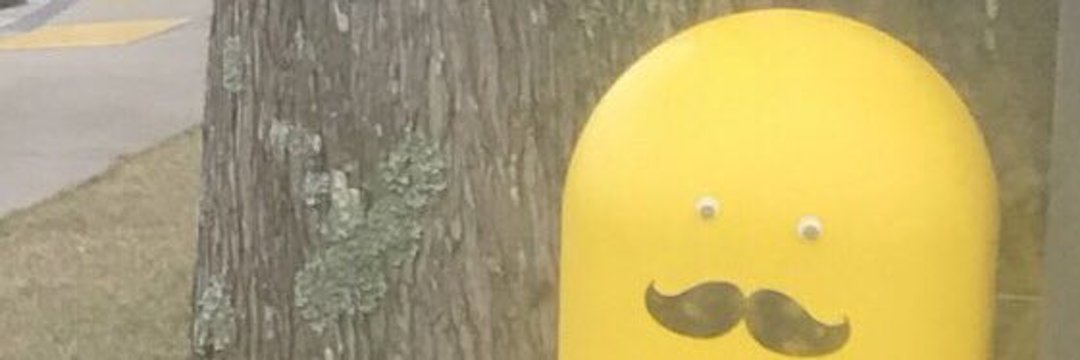 Austyn banner