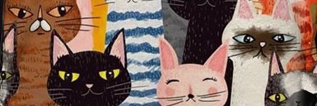 Rebecca DeTar banner