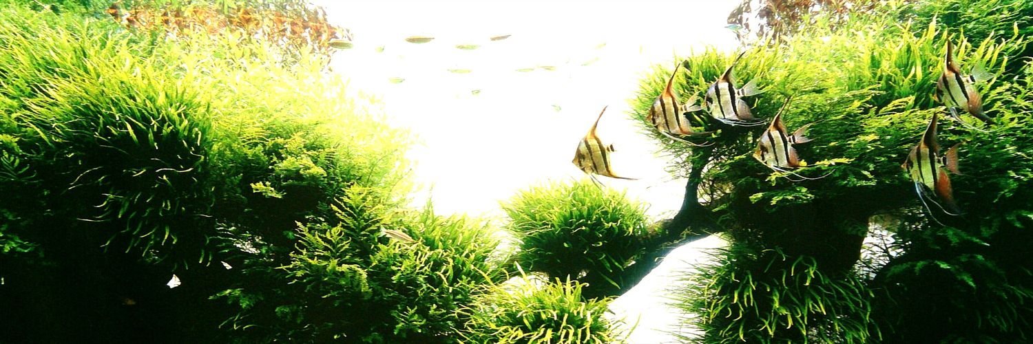 ADAIberica's profile banner image