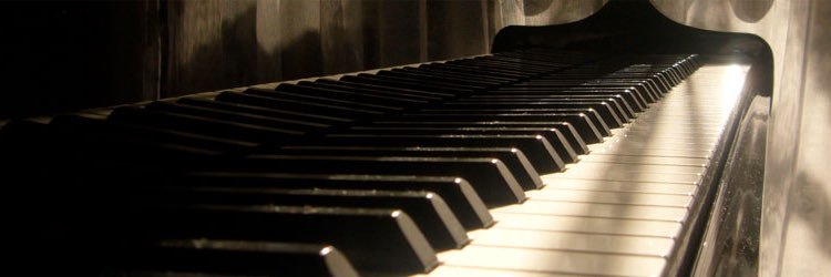 poochi579's profile banner image