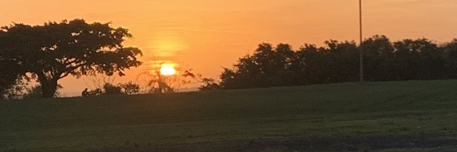 Awildlipe's profile banner image