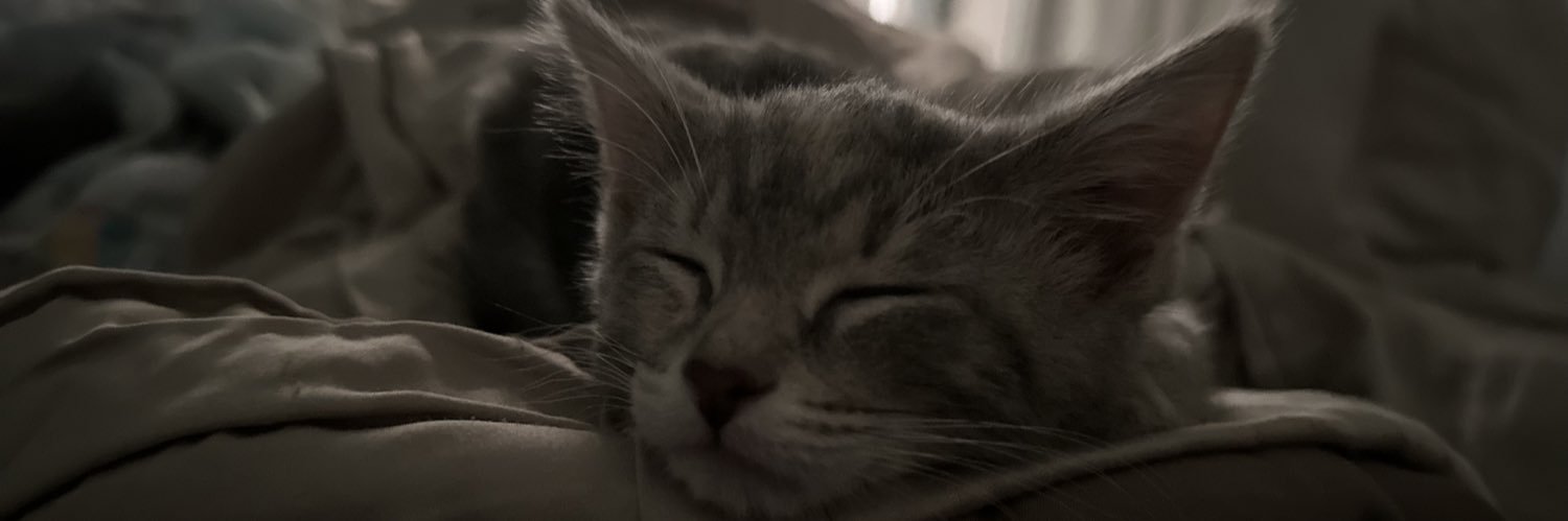 xAnsie_'s profile banner image