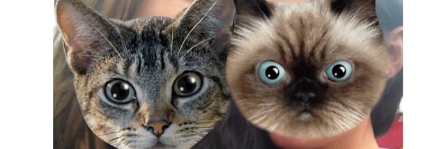 amybrown90's profile banner image