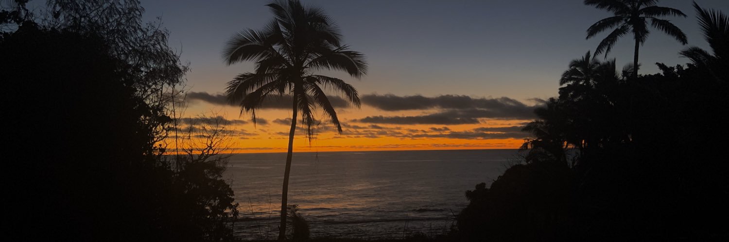 nu from NU 🇳🇺 banner