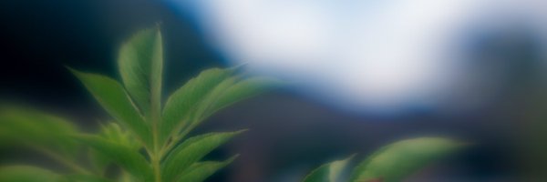 TobyVPhoto Profile Banner