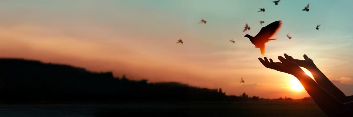 NYSDRA's profile banner image