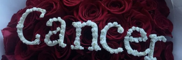 raevampfaces_'s profile banner image