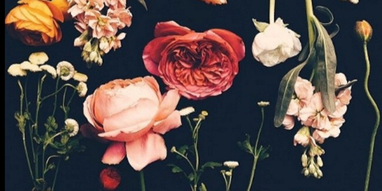 danielle_page_'s profile banner image