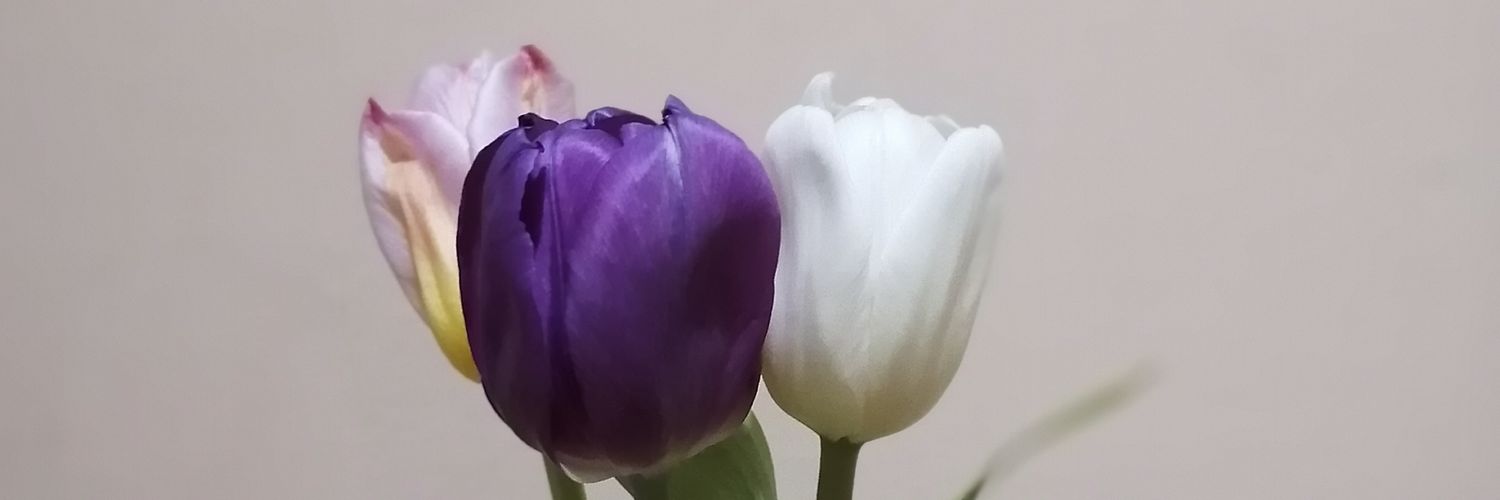 christel_pm_'s profile banner image