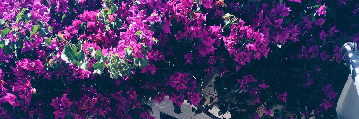 _amymcdermott_'s profile banner image