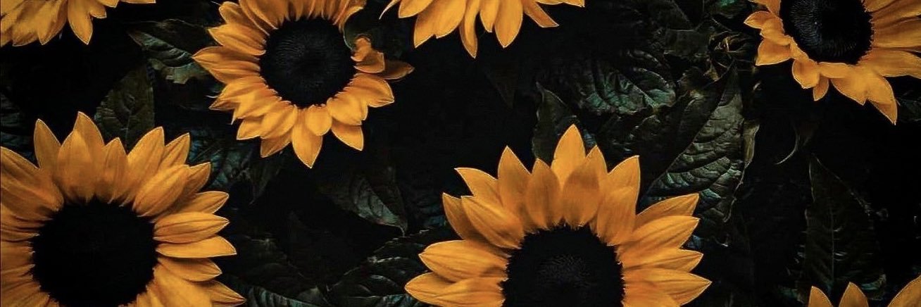 SofiAchque's profile banner image