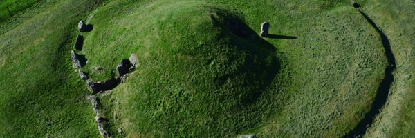 caws_llyffant Profile Banner