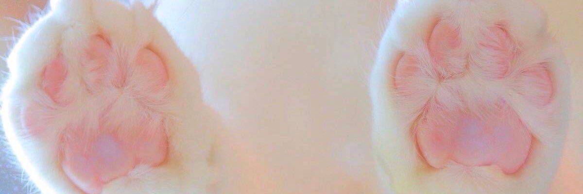 DemirNurseda's profile banner image