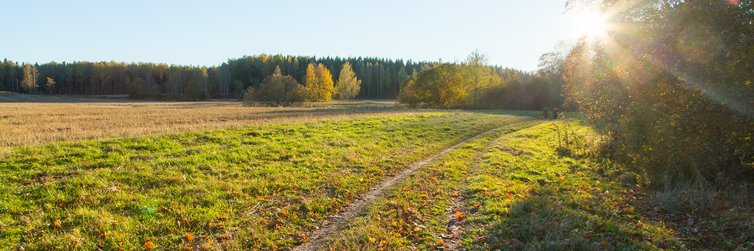 AnneKuusisto's profile banner image