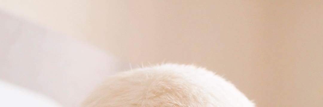 kynsm's profile banner image