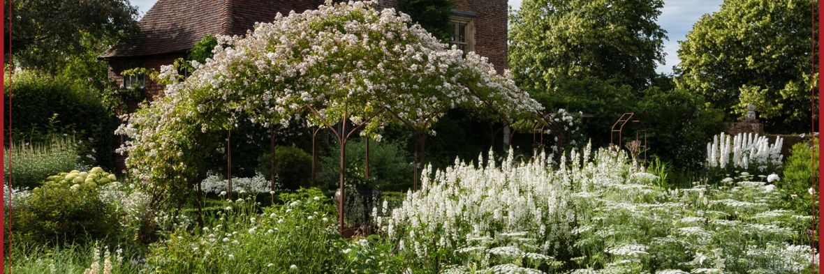 🌱TillyFrye 🐾 🌿 📖 🚶 🧪 banner