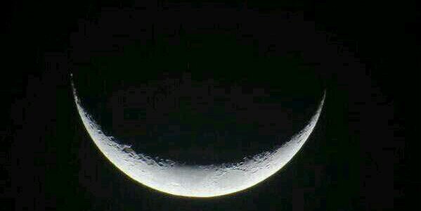 lunitabella23's profile banner image