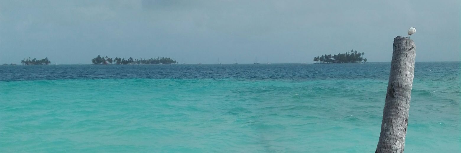 anelio33's profile banner image