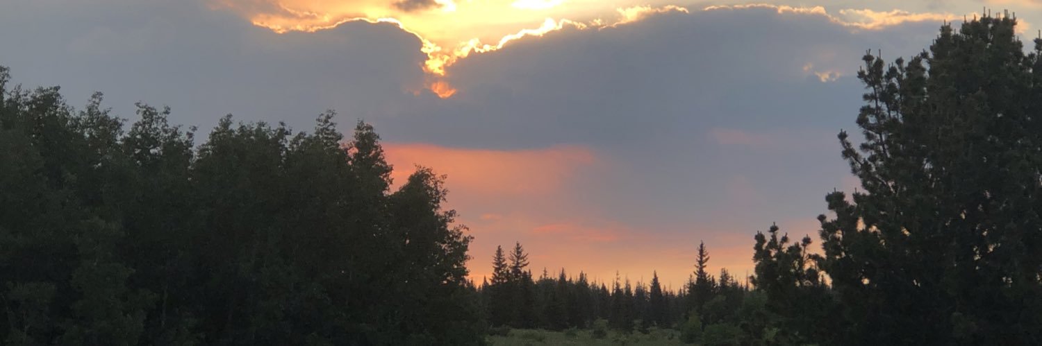 Chris Cunningham banner