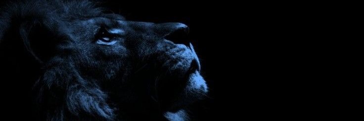 LGMF10's profile banner image