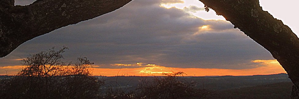 butschibei's profile banner image