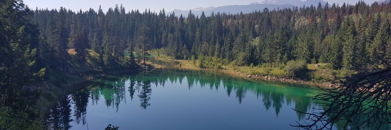 Ingrid Bethancourt A banner