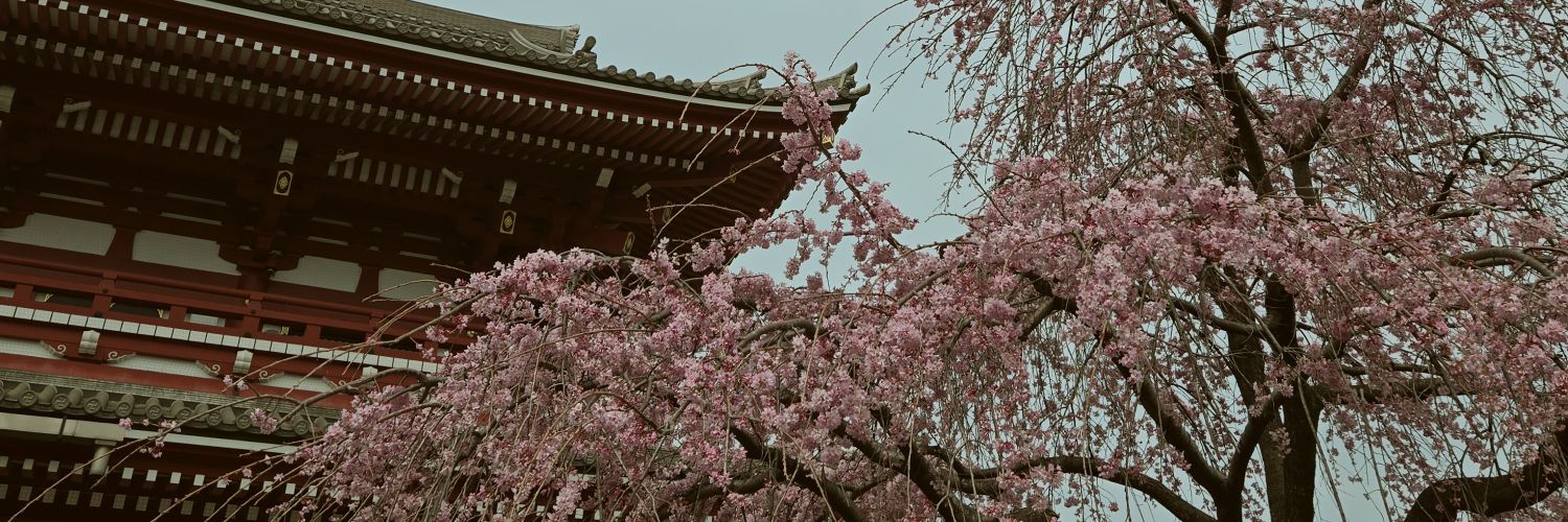 LSHKS1102's profile banner image