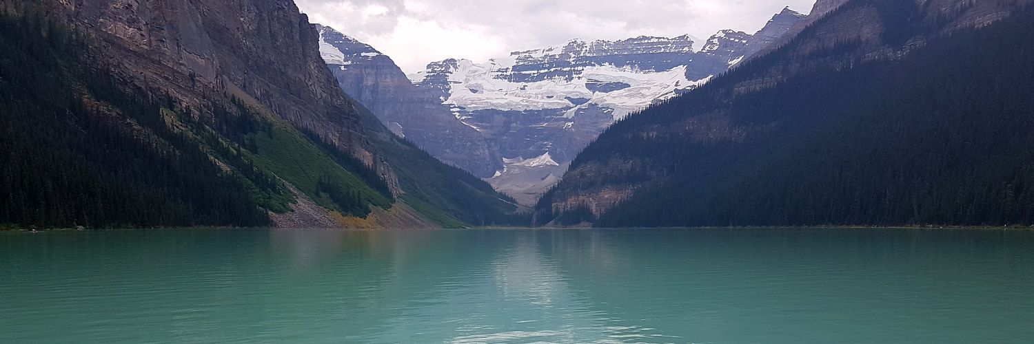 allypilkey's profile banner image