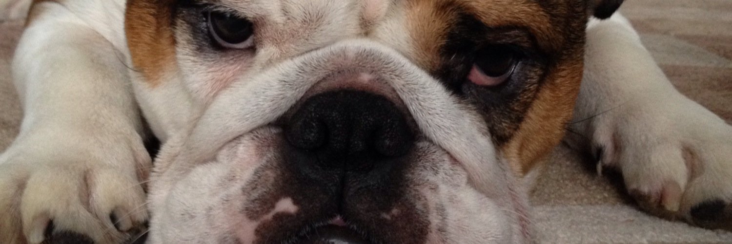 steveriley76's profile banner image