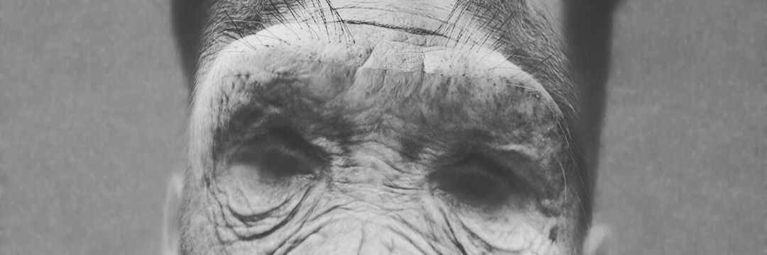 Luc4sius's profile banner image