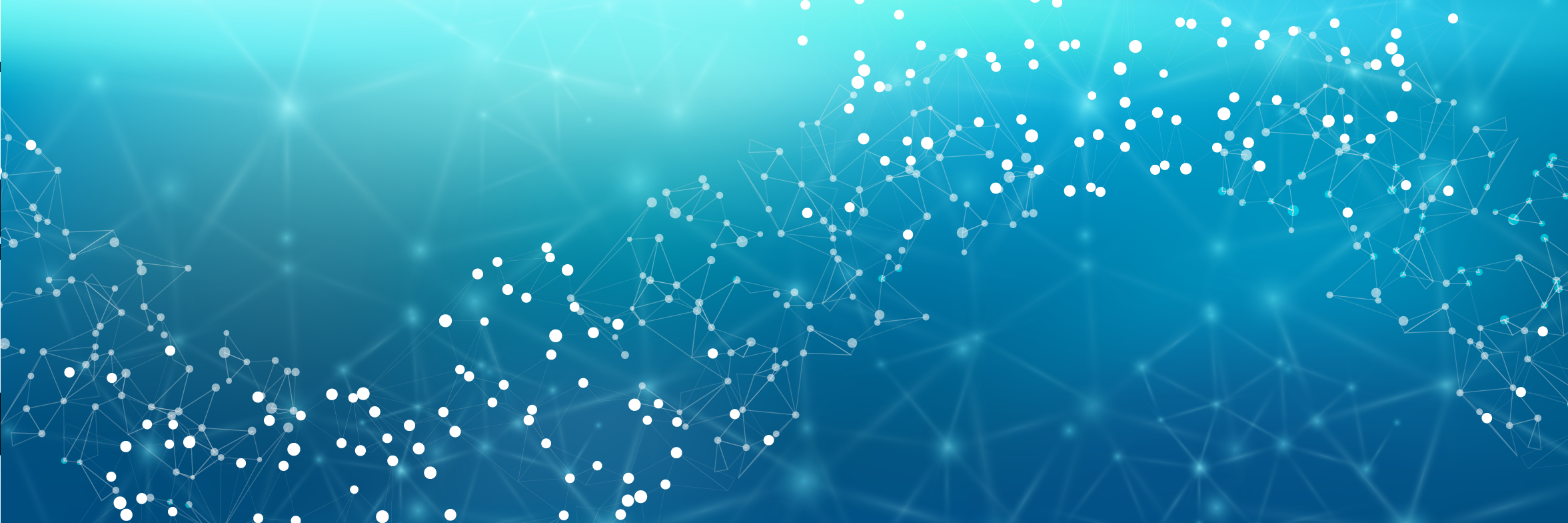 ICMA Women's Network banner