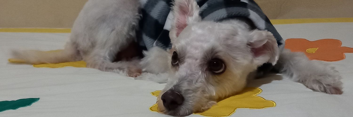 narozinha's profile banner image