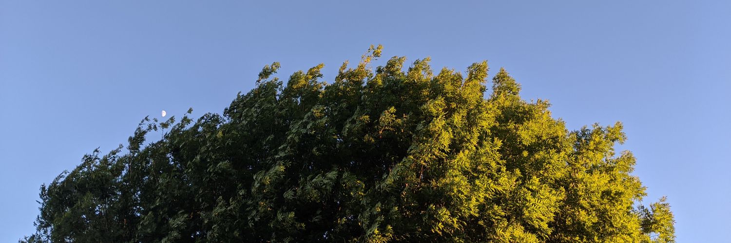 WilliamThePayne's profile banner image
