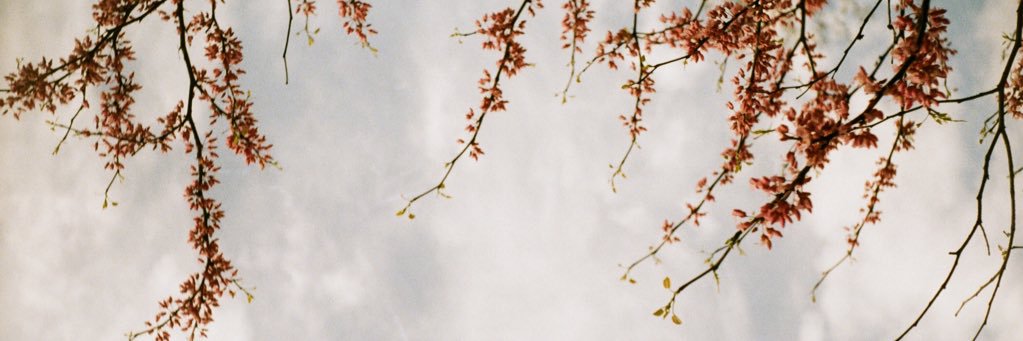 a_donaldsonn's profile banner image
