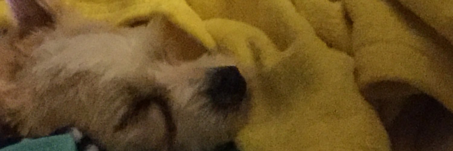 mitchell_gia's profile banner image