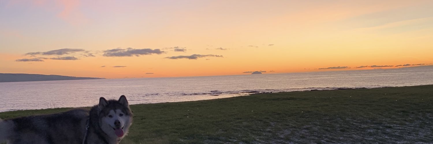 Gillian_Calder's profile banner image