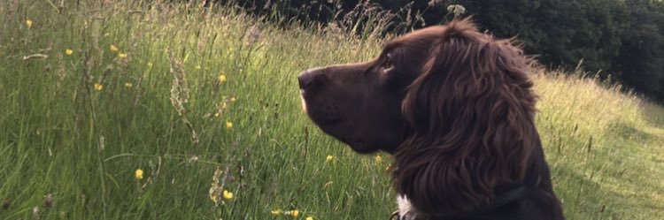 Stuart Emmerson banner